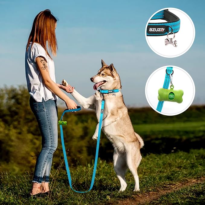 azuza Reflective Dog Collar, Neoprene Padded Small Dog Collar, S