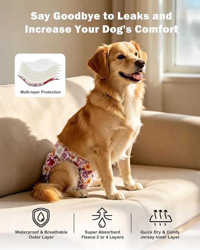 CuteBone Dog Diapers Female Washable Small Medium Large 3 Pack Reusable Doggie Diapers Puppy Period Pants for Doggy Heat Cycle Peeing
