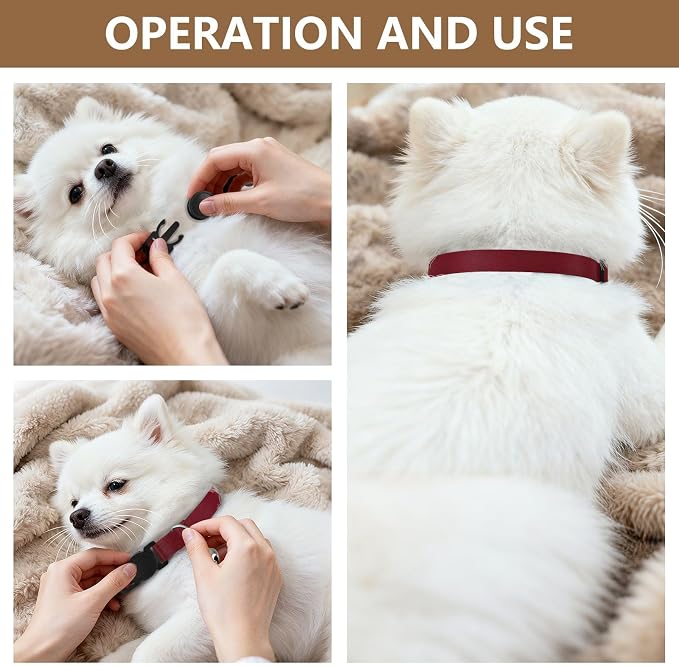 Burgundy Red Kitten Collars 2 Pack Adjustable Pet Collar Adjustable Length 10.6" to 17.1"