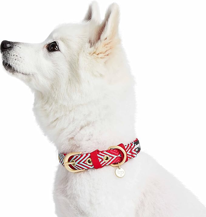 Blueberry Pet Southwestern Tribal Lozenges Stylish Red Adjustable Dog Collar with Metal Buckle, Neck 13-16.5", for Medium Breed