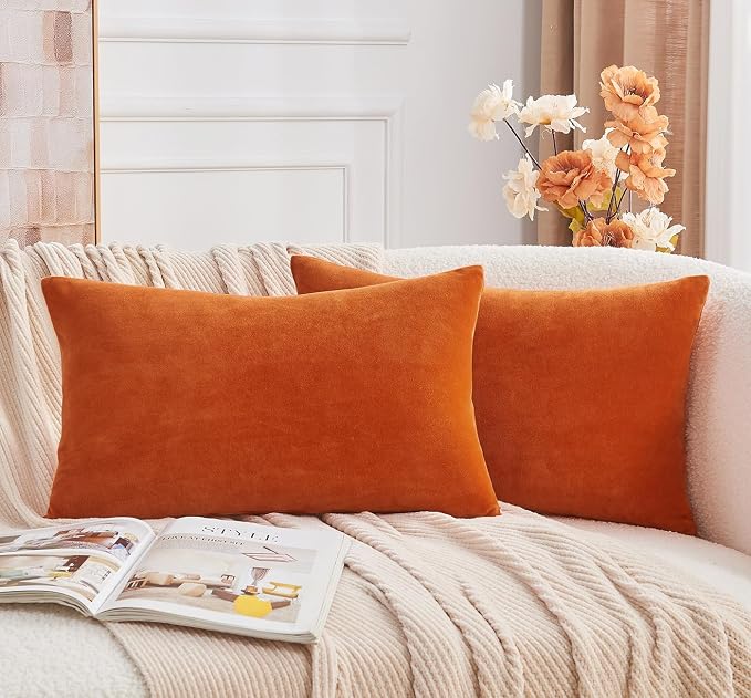 Throw Pillow Covers Burnt Orange Set of 2 12x20 Inch Fall Pillow Covers, Soft Velvet Farmhouse Neutral Lumbar Decorative Pillowcases for Couch Sofa Bed, Home Boho Decor, Modern Cushion Covers