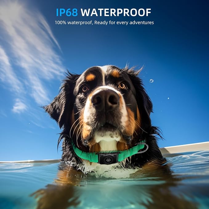Upgrade Dog Collar with AirTag Holder, IP68 Waterproof, Teal, XS | Built-in Water Resistant AirTag holder, 1000D Nylon, Reflective Stitching for Night Visibility, Soft padding for Comfort