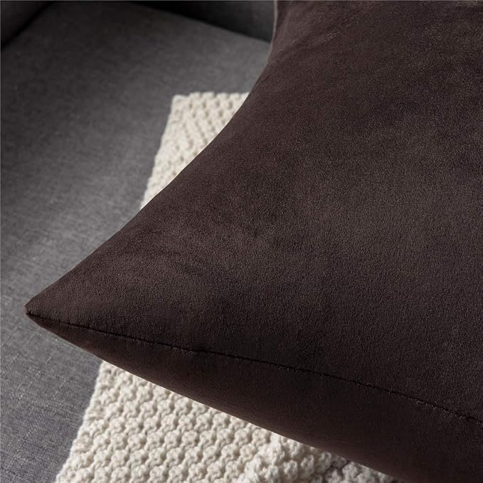 Throw Pillow Covers 16x16 Chocolate Brown: Pack of 2 Cozy Soft Velvet Square Modern Luxury Decorative Throw Pillow Cases for Sofa Couch Living Room Bed Home Decor