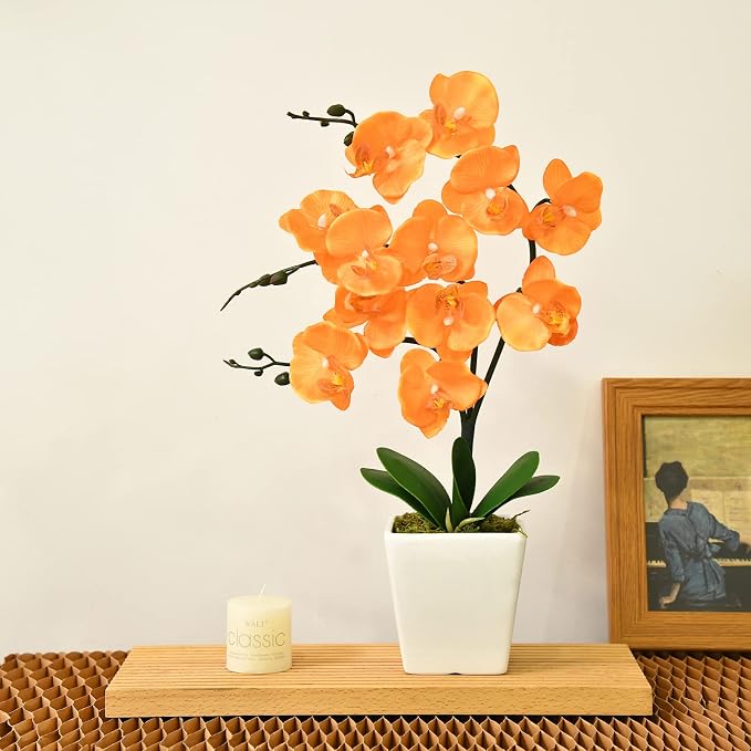 15" Silk Phalaenopsis Orchid in Square Pot, Orange Flower Plant Arrangement | Lifelike Faux Potted Blooms with Moss in a Ceramic Planter. Looks Real, Zero Upkeep, Ideal Centerpiece for Any Table