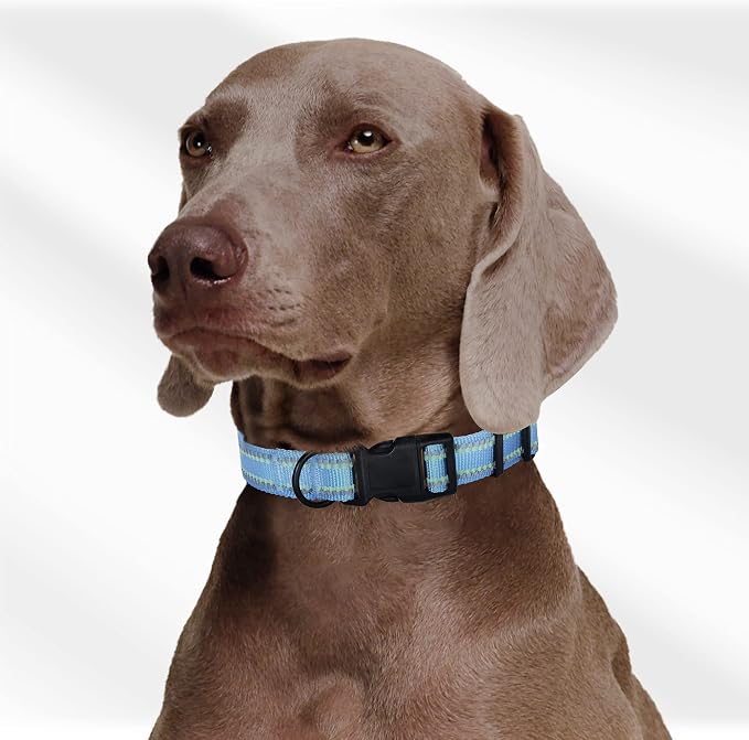 Mile High Life Reflective Dog Collar, Adjustable Lightweight Quick Release