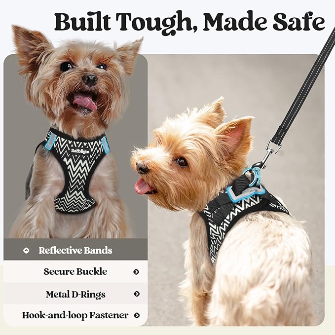 rabbitgoo Dog Harness Small Sized and Leash Set, Step-in Puppy Pet Vest | Light, Soft, Breathable Air Mesh, Easy on and Remove with Hook & Loop, Secure Reflective for Walking, Black Zigzag XS