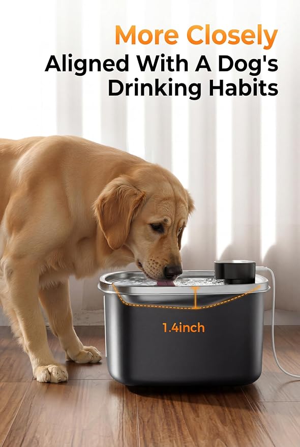 Dog Water Fountain Indoor Homes Stainless Steel 10L/2.64GAL Plug in Plastic Reservoir Stainless Steel Water Bowl Filtered Multi-Pet Quiet Large Black Plug-in &1Filter
