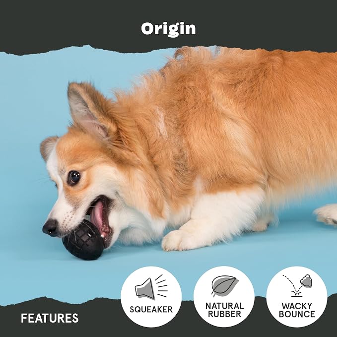 BarkBox Origin Super Chewer - Toy for Small Dogs