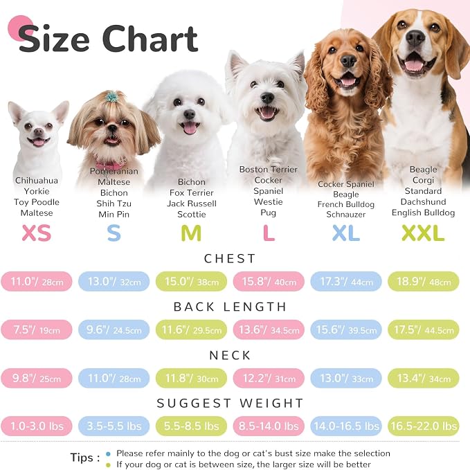 Dog Tshirts for Small Dogs Polo Shirt Stretchy Dog T Shirt Breathable Dogs Cooling Vest Girl Boy Puppy Dachshund French Bulldog Frenchie Chihuahua Clothes