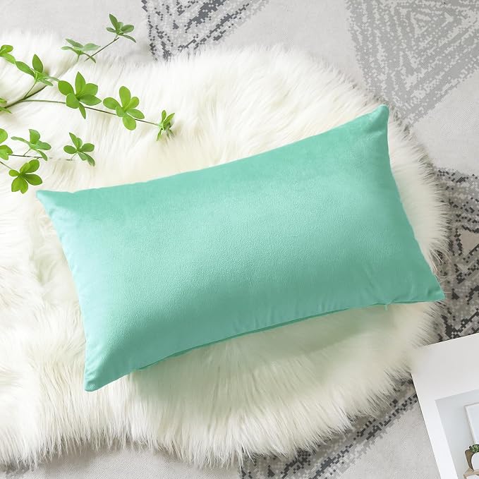 Artscope Luxury Velvet Pillow Covers Decorative Rectangle Pillowcases Soft Solid Cushion Cases for Couch Sofa Bedroom Car Decor 16x24 Inch Aqua Green