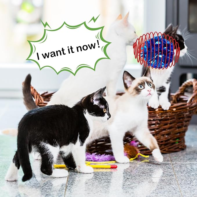 Jecery 5 Pcs Cat Toys Spring,Crinkle Ball,Multicolor