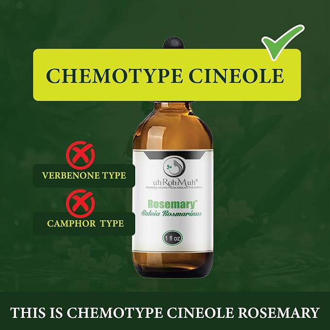 Organic Rosemary Essential Oil Chemotype Cineole | 100% Pure Steam Distilled Rosemary Oil | Fresh Herbaceous Aroma for Diffuser Aromatherapy, Massage Blends & DIY Recipes | Spain - 15ml
