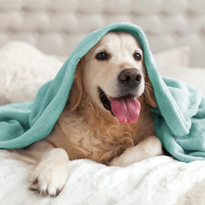BEDELITE Fleece Blanket Soft Plush Throw for Couch Haze Blue 50"x60" | Ultra Soft Fleece, Plush Microfiber, Lightweight Warmth, All Season Comfort, Fade Resistant, Machine Washable, Couch Sofa Bed