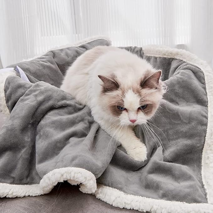 1 Pack 6 Dog Blankets for Small Dogs - 6 pcs Waterproof Dog Blanket Washable - Soft Sherpa Fleece Puppy Blanket for Kitten Doggy, Warm Cat Blankets for Indoor Cats, 16"X23", Grey