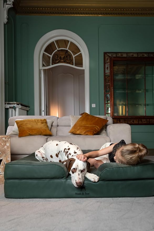 NOAH & PAW XL Dog Bed, 45x35x11 Inch, Orthopedic Large Dog Beds, Eggshell Memory Foam Infused with Cooling Gel, Inner Cover, Water Resistant, Machine Washable (Faux Leather)