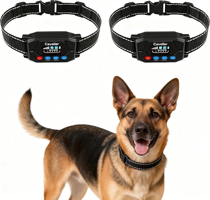 GPS Perimeter Fence for Two Dogs – Wireless Dog Fence with 3 Alert Modes & Adjustable 33-9999Yd Boundary, Rainproof Rechargeable Collars, Heavy-Duty for Outdoor Use