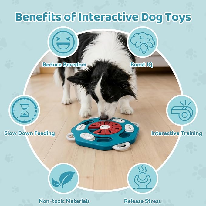 Dog Puzzle Toy for Smart Dogs, Interactive Dog Enrichment Toys,Level1(Blue)