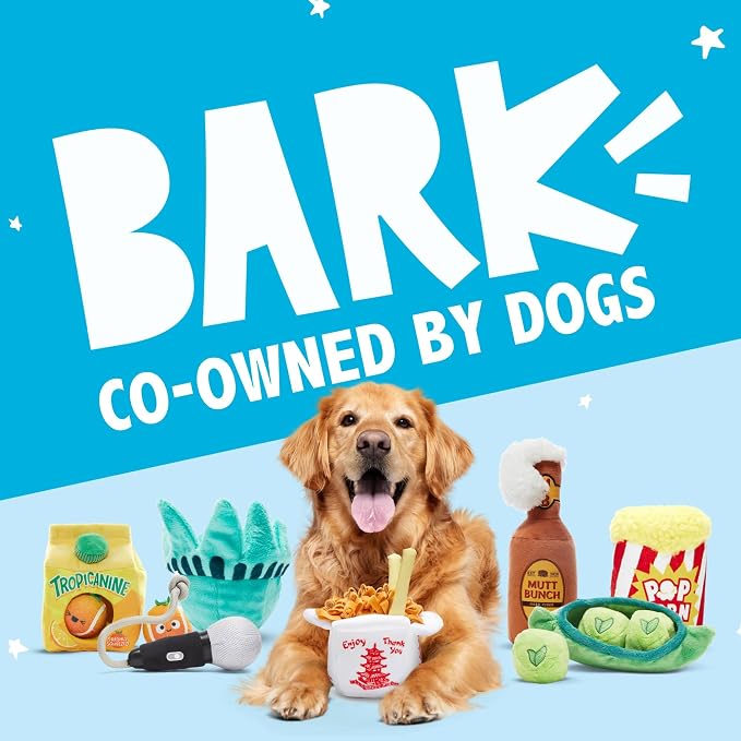 BarkBox Chow Chow Mein Plush Dog Toy - for Small to Medium Dogs and Puppies | Squeaky Dog Chew Toy with Stuffing Inside
