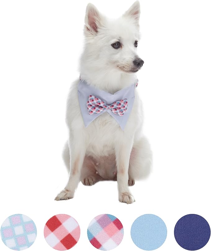 Blueberry Pet Timeless Multicolor Scottish Tartan Adjustable Dog Bandana Collar with Bow Tie, Small, Neck 12"-16"