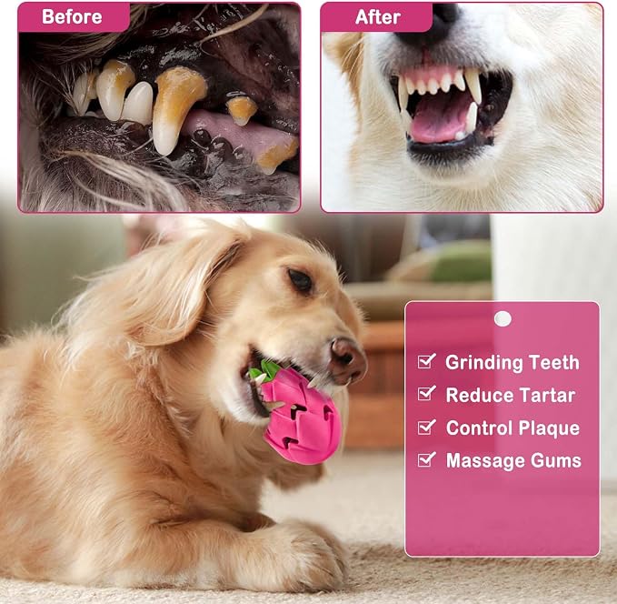 AUSCAT Dog Treat Dispensing Toys, Dispensing Puzzle Dog Toy, Rubber Dog Treat Dispenser, Interactive Stimulation Dog Food Toys, Pitaya Shape