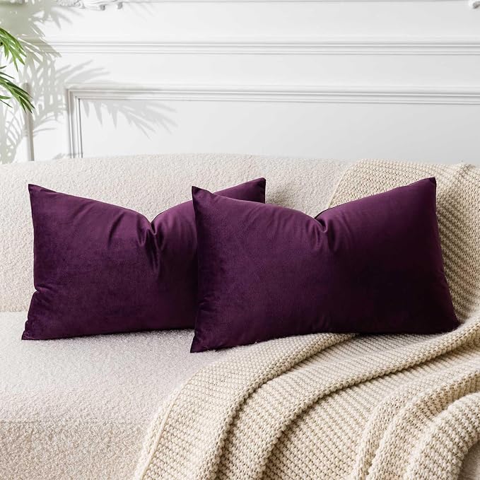 16x24 Velvet Throw Pillow Cover Set of 2 for Couch Bed Sofa,Eggplant Purple | Decorative Soft Pillow Covers with Invisible Zipper for Couch Sofa Bed Living Room Bedroom Home Decor