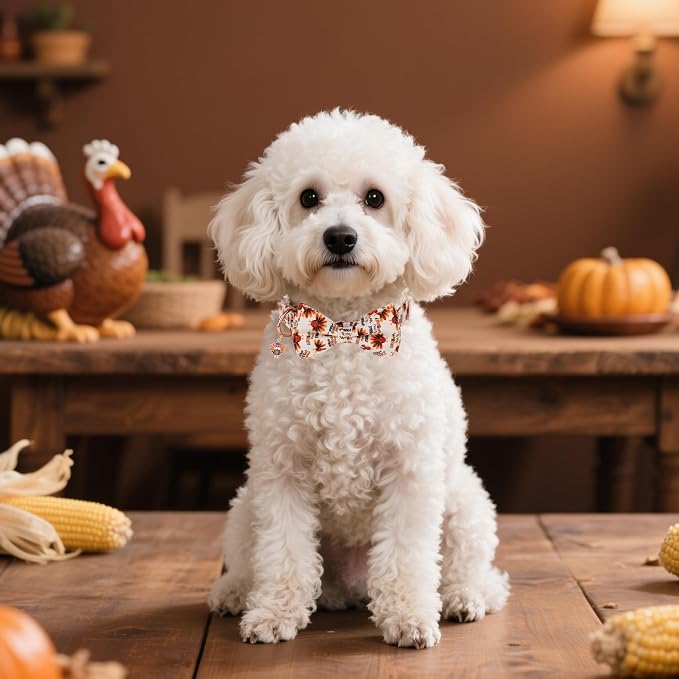 ADOGGYGO Thanksgiving Dog Collars with Bow, Gobble Turkey Pet Collar, XS