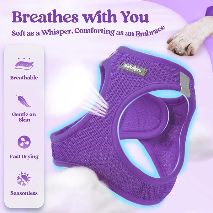 rabbitgoo Dog Harness Medium Sized and Leash Set, Step-in Puppy Pet Vest | Light, Soft, Breathable Air Mesh, Easy on and Remove with Hook & Loop, Secure Reflective for Walking, Purple XXL