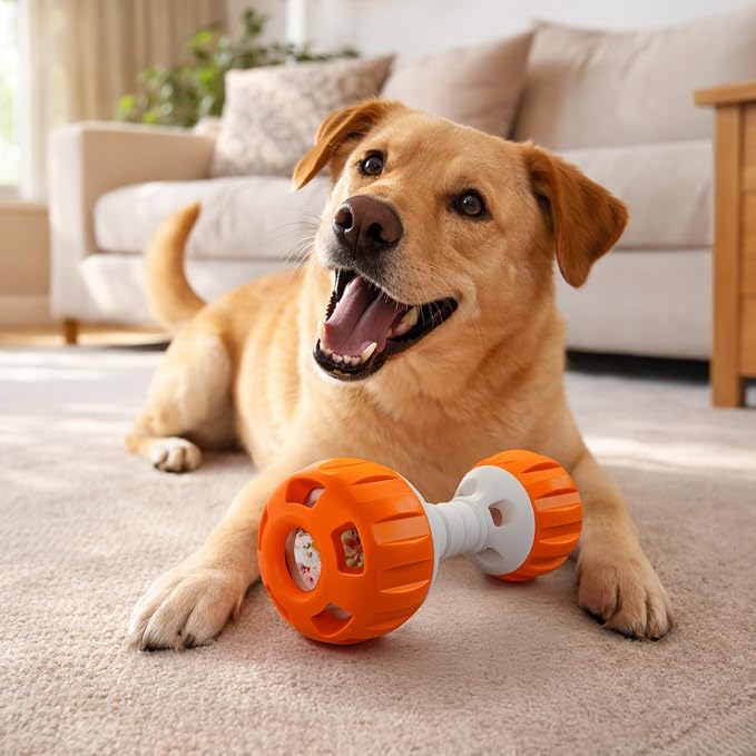 ALL FOR PAWS Dog Frozen Treat Toy, Interactive Slow Feeder Enrichment Toy for Dog, Dumbbell Treat Ball with Food-Grade Silicone Tray, DIY Frozen Puzzle Toy for Small to Large Dogs