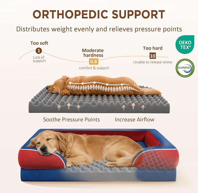 Comfort Expression Orthopedic Dog Bed for Extra Large Dogs with Bolster | Waterproof Dog Couch Bed with Washable Cover & Non-Slip Bottom, Supportive Egg Crate Foam XL Pet Bed, 42x30 Inch