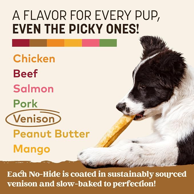 Earth Animal No Hide Dog Chews - Rawhide Free Medium Rolls 6 Count Venison | Medium Venison Flavored Natural Rawhide Free Long Lasting Dog Chews - Treats for Medium Dogs and Aggressive Chewers