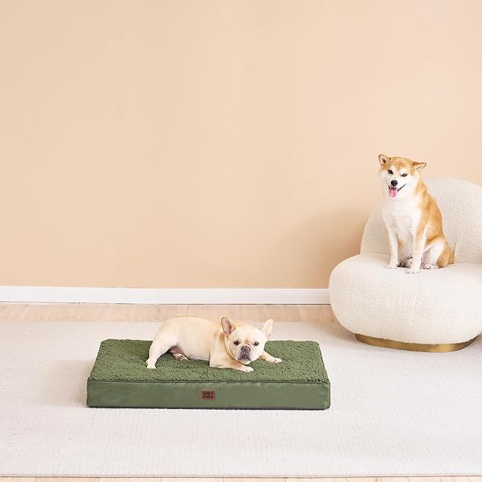 EHEYCIGA Orthopedic Dog Bed Large with Removable Washable Cover, 35x23 | Egg Crate Foam Support, Durable Oxford fabric, Non-Slip Bottom, Machine Washable, Soft Waterproof Plush Pet Bed Mat For Crate