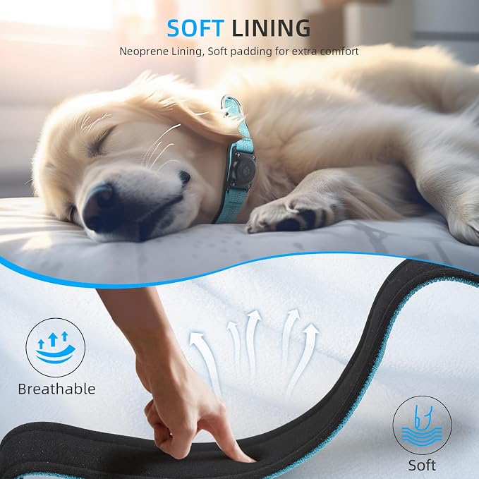 Upgrade Dog Collar with AirTag Holder, IP68 Waterproof, Blue, XL | Built-in Water Resistant AirTag holder, 1000D Nylon, Reflective Stitching for Night Visibility, Soft padding for Comfort
