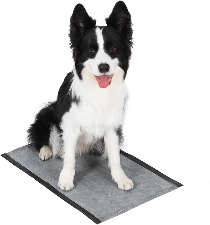 Glad for Pets Black Charcoal Puppy Pads, 17.5 x 23.5 Inch, 120 Count | Super-absorbent core, disposable design, 17.5x23.5 in, potty crate and indoor training
