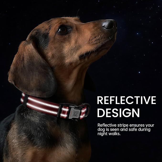 Personalized Dog Collar with QR Code Dog Tag, Wine 05 S | Anti-lost, 1000D nylon, reflective, padded, XS-L(8"-24"), QR buckle shares lost pet profile, location alerts when scanned