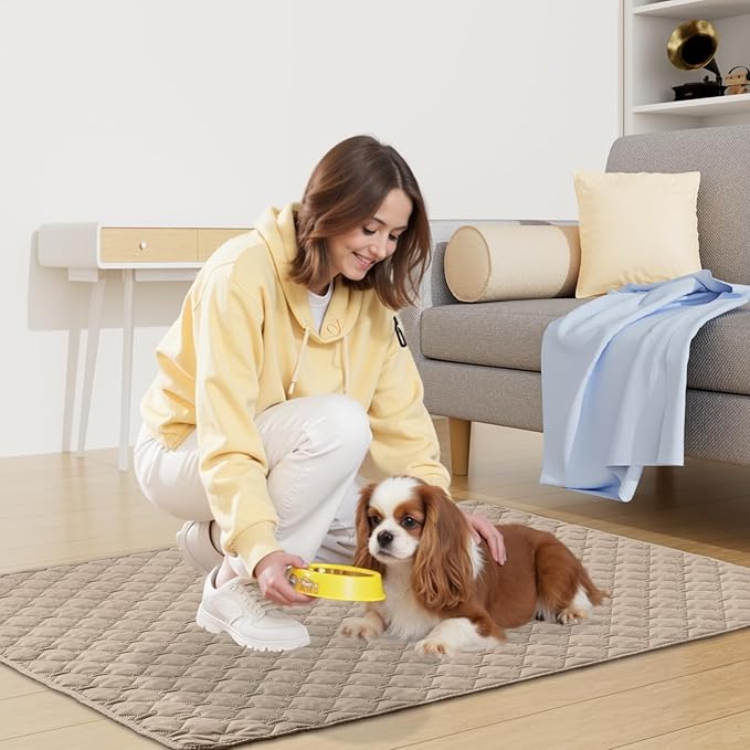 Smiry Waterproof Dog Bed Cover Blanket, Reversible Pet Blanket | Soft Reversible, Washable Leakproof Cats Dogs Couch Cover for Sofa, Couch, Furniture (30x70 Inch)