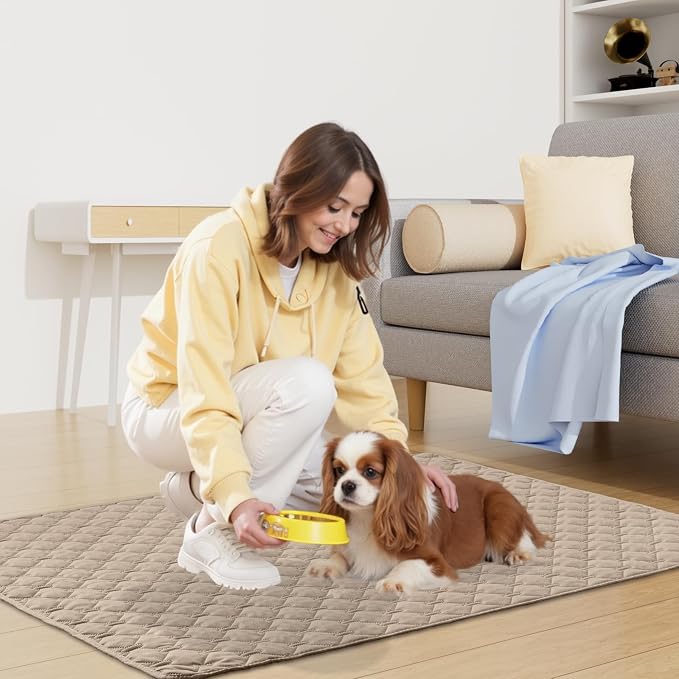 Smiry Waterproof Dog Bed Cover Blanket, Reversible Pet Blanket | Soft Reversible, Washable Leakproof Cats Dogs Couch Cover for Sofa, Couch, Furniture (30x53 Inch)