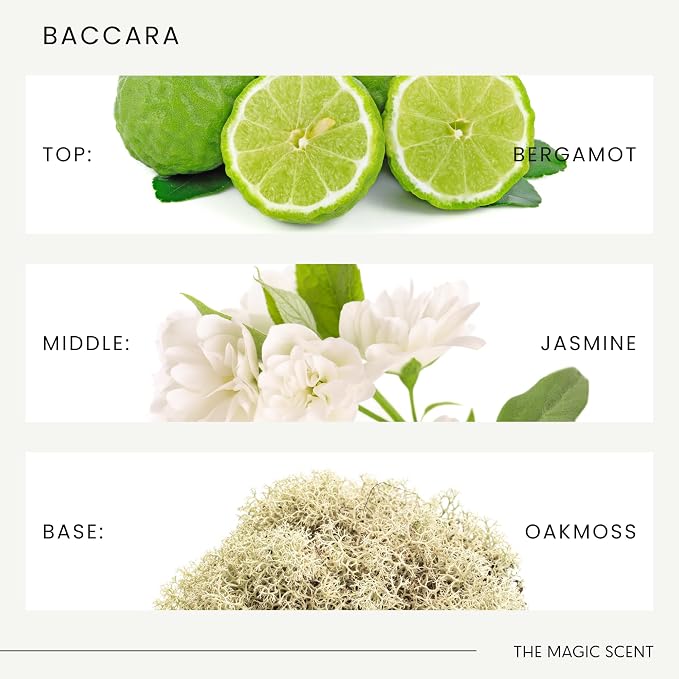 The Magic Scent Baccara Diffuser Oil - Hotel & Home Luxury Scents Inspired by Baccarat Rouge - Diffuser Oil Scents for Home Designed for Use in All Diffusers - 8.5 fl oz, 250 mL