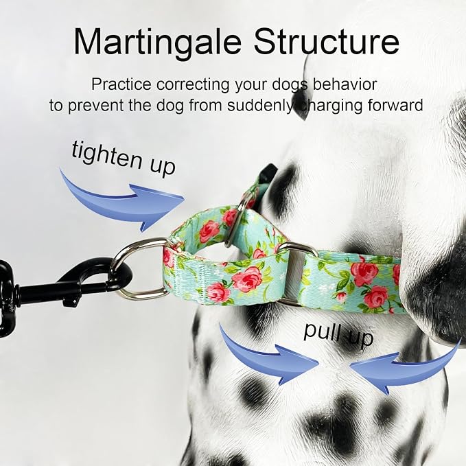 Martingale Collar for Dogs with Buckle No Pull, Green Rose, Small