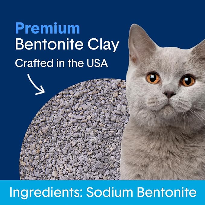 Boxie Unscented 30 Day Odor Control Clumping Clay Cat & Kitty Litter, 99.9% Dust-Free, Hard Flat Top Clumps, No Fragrances No Fillers, Long-Lasting, Easy to Scoop,16 lb (Pack of 2)