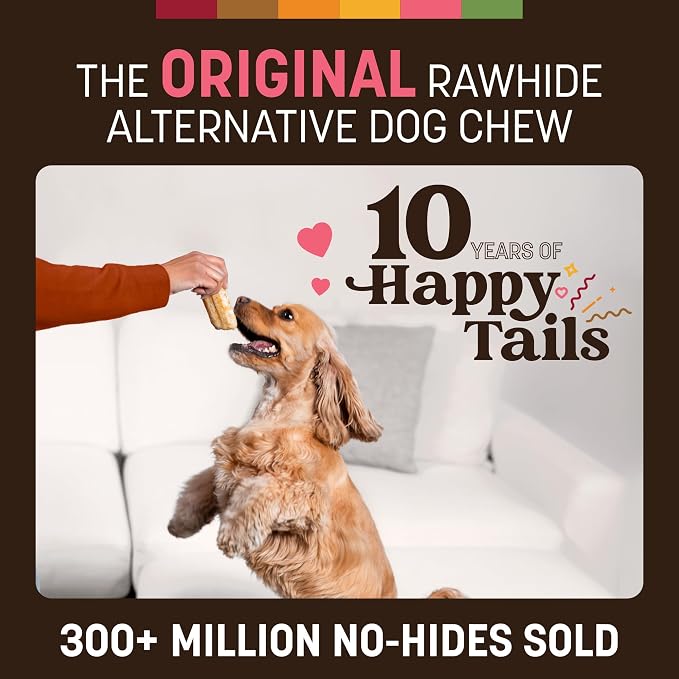 Earth Animal No Hide Dog Chews - Rawhide Free Small Rolls 6 Count Salmon | Small Rolls Salmon Flavored Natural Rawhide Free Long Lasting Dog Chews - Pet Treats for Small Dogs