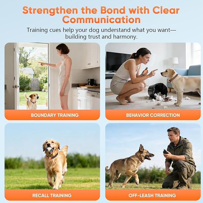Shock Collar for Dogs, Dog Training Collar with Remote,3 Training Modes