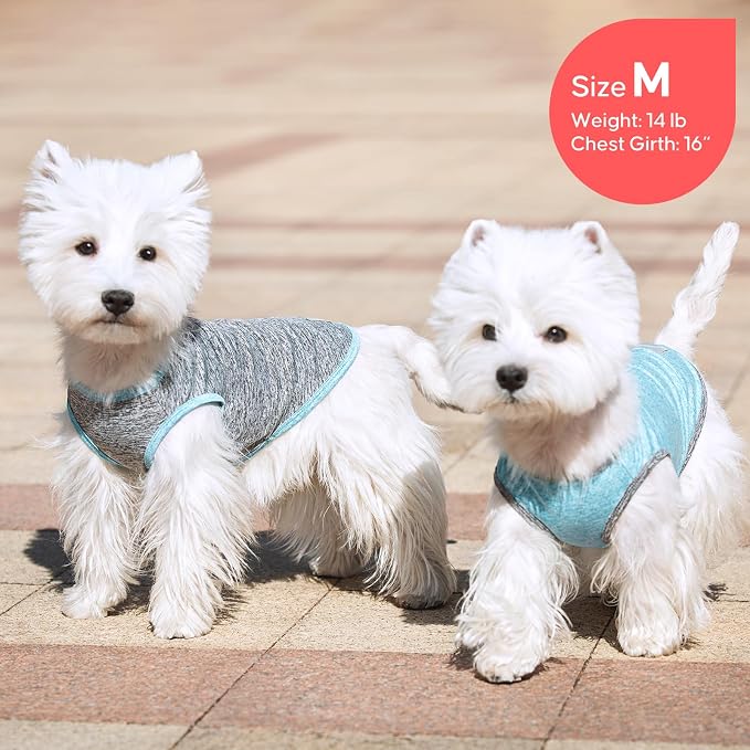 KYEESE 2Pack Dog Shirt for Small Dogs Sun Protection Tank Top for Summer | Reflective for Safety, Lightweight & Breathable, Shedding Control, Skin-Friendly for Sensitive Dogs, Easy On/Off, Quick Dry