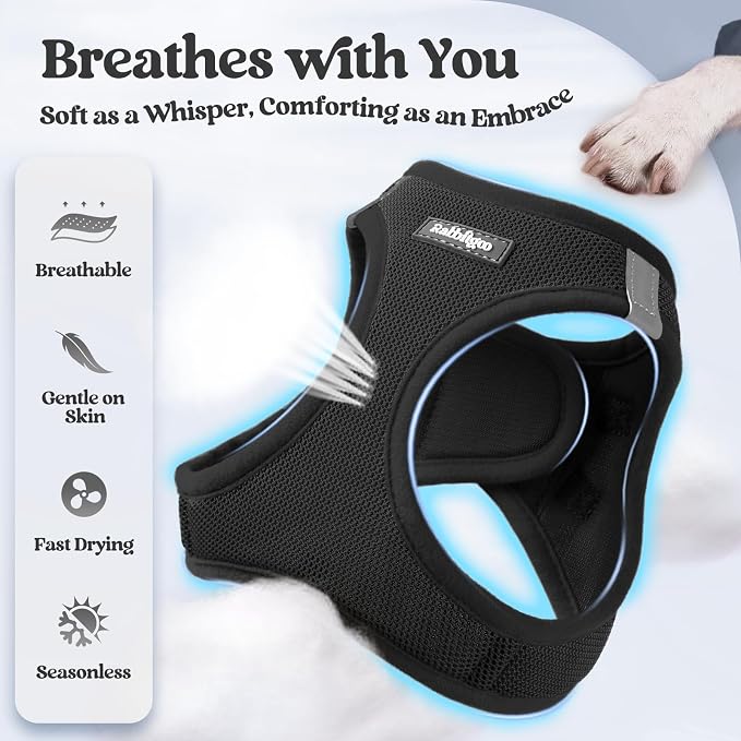 rabbitgoo Dog Harness Medium Sized and Leash Set, Step-in Puppy Pet Vest | Light, Soft, Breathable Air Mesh, Easy on and Remove with Hook & Loop, Secure Reflective for Walking, Black L