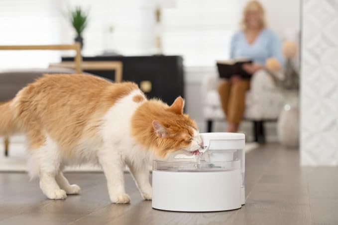 PetSafe Outlast Pumpless Cat Water Fountain, 60 oz/1.7L, Dishwasher Safe | Pumpless HydroSpin Design Circulates 60 Oz Water, Ion-x Carbon/Ion-Exchange Filter, Smart Sensors Slow Flow at Night