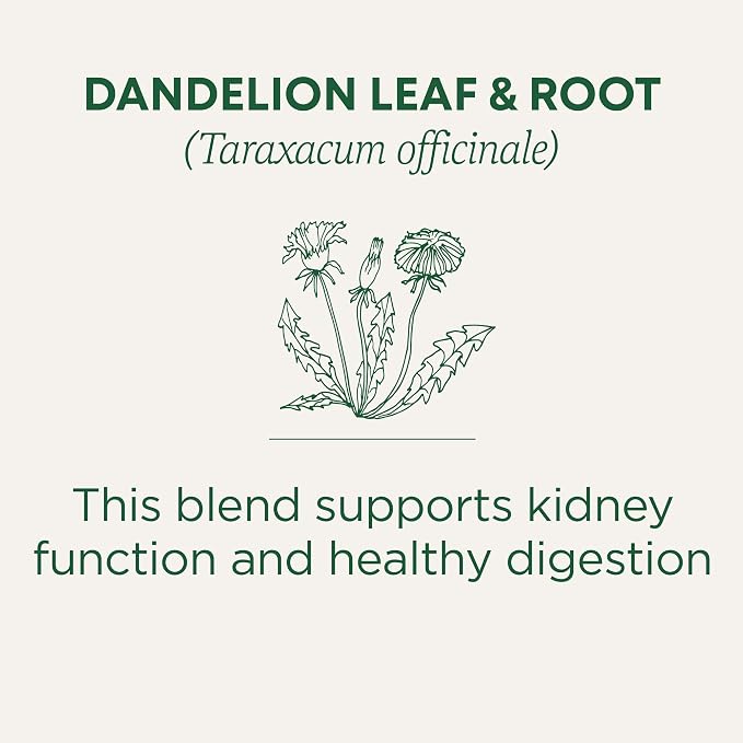 Traditional Medicinals Dandelion Tea, Tea Bags, 16 Count | Organic | Leaf & Root | Pack of 2 | Supports Digestion