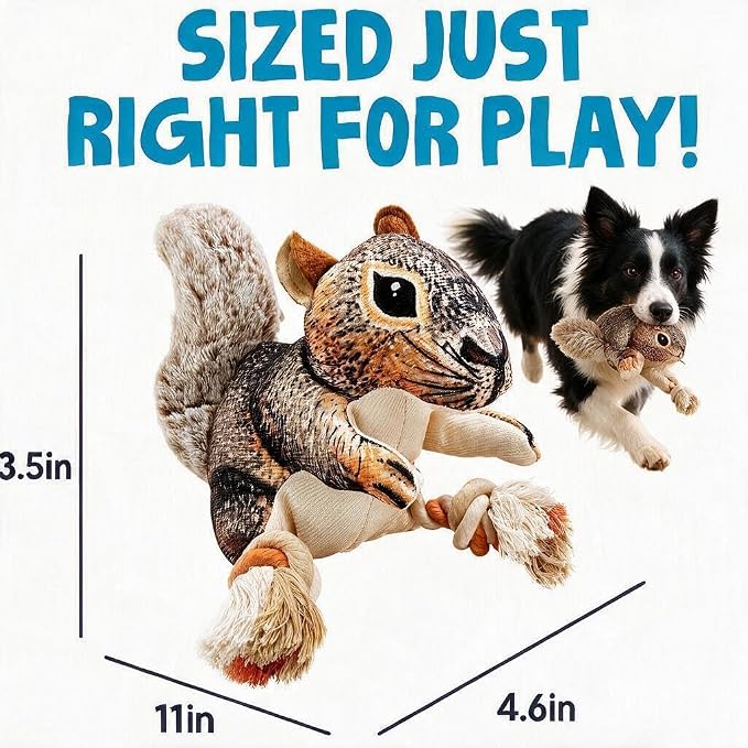 Tough Squeaky Dog Toys for Aggressive chewers Interactive to Keep Them Busy, Durable Funny Cute Tug of war Rope Birthday Dogs Toy for Small Medium Large (Squirrel)