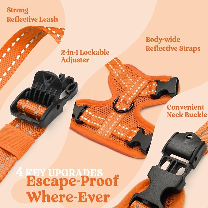 rabbitgoo Cat Harness and Leash, Easy-on with Neck Buckle, Orange