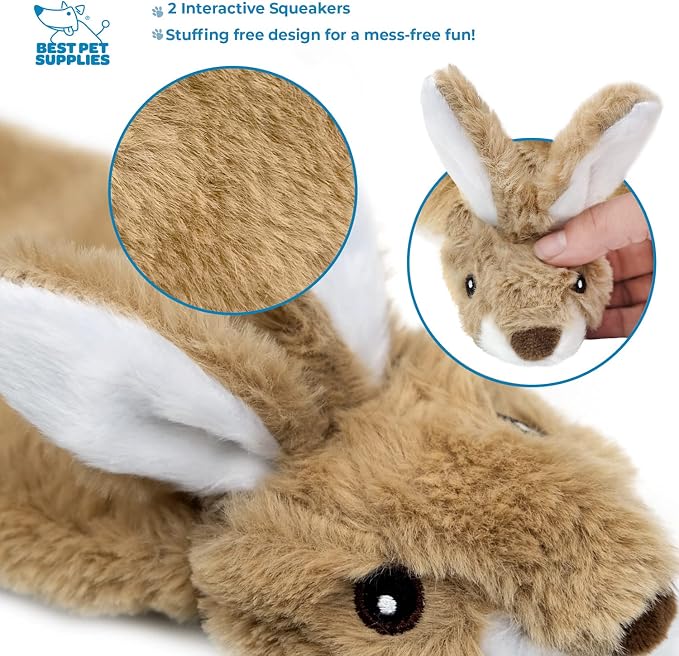 Best Pet Supplies Interactive Squeaky Dog Toy - Pack of 4 (Various Style-Color), Large