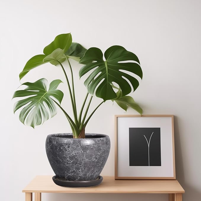 Ceramicfor Ceramic Planter - 6 Inch Plant Pot with Drainage Hole and Saucer, Succulent Pot Glaze Round Flower Pot for Indoor Outdoor Plants, Gray