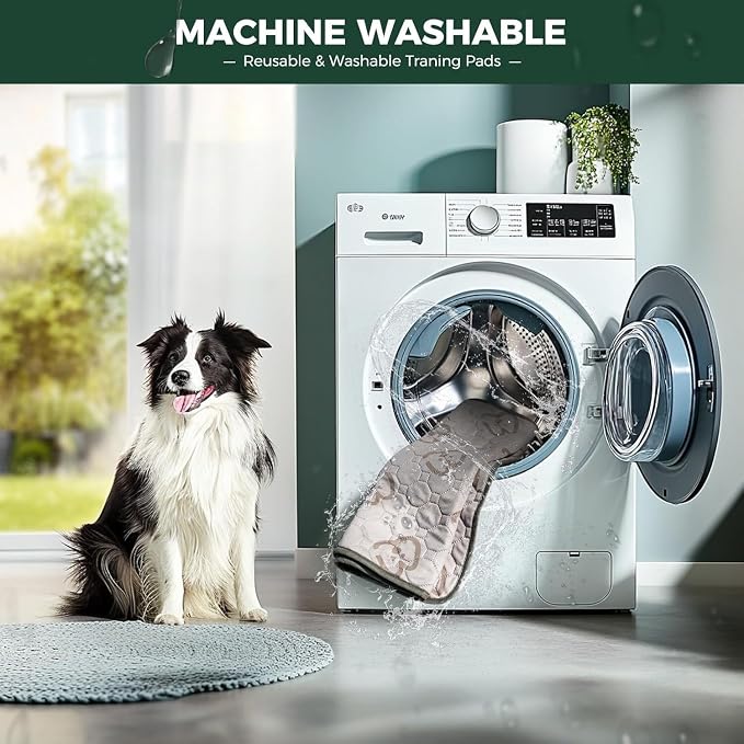 FXW Washable Pee Pads for Dogs, Super Absorbent, 43" x 71", 1 Pack | Machine washable, Non-slip backing, Fits 32"/40"/45"H 6-Panel FXW Rollick/Homeplus Playpens